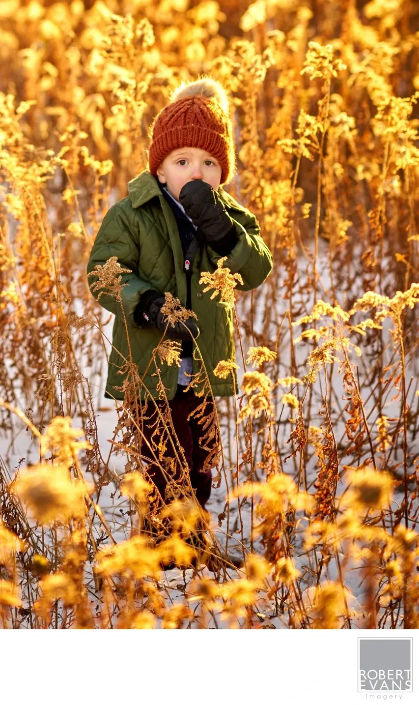 A small child in a red knit hat and dark coat stands among tall golden plants.