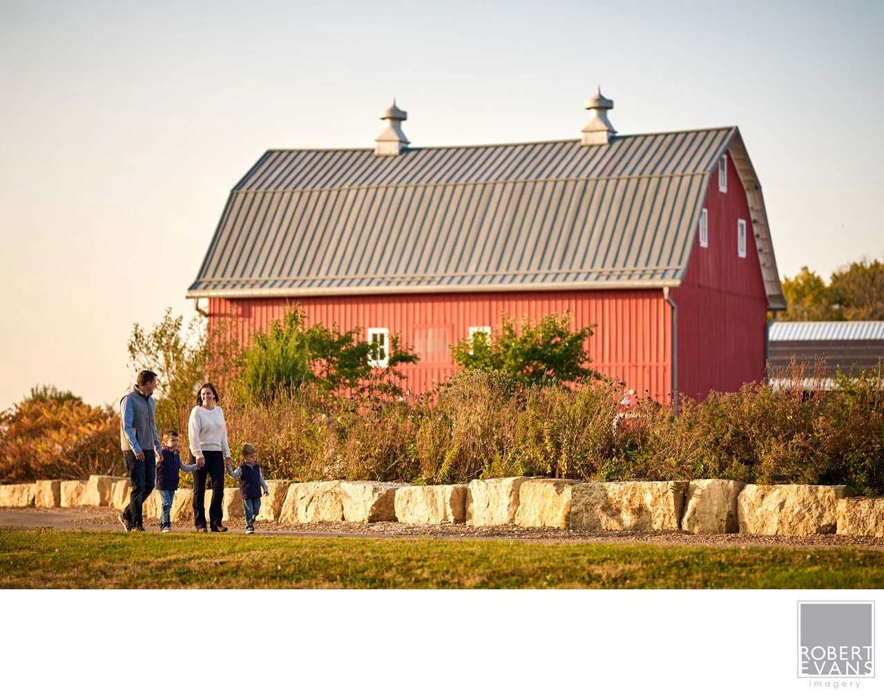 Parents and their two young children walk hand in hand during a relaxed fall family portrait session, with a classic red Minnesota barn creating a beautiful backdrop.