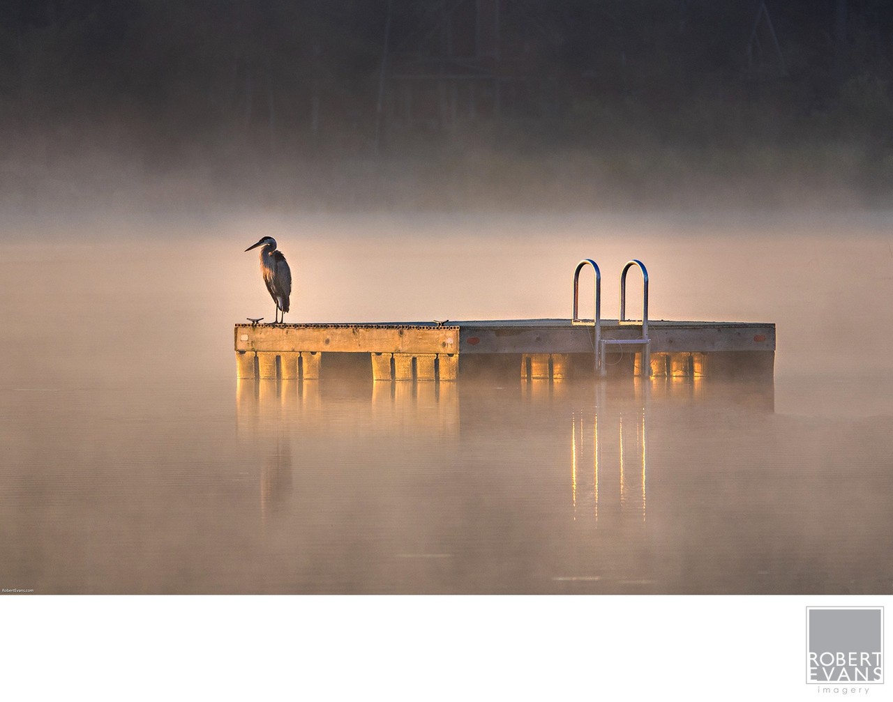 A heron stands on a swimming platform in a misty lake.