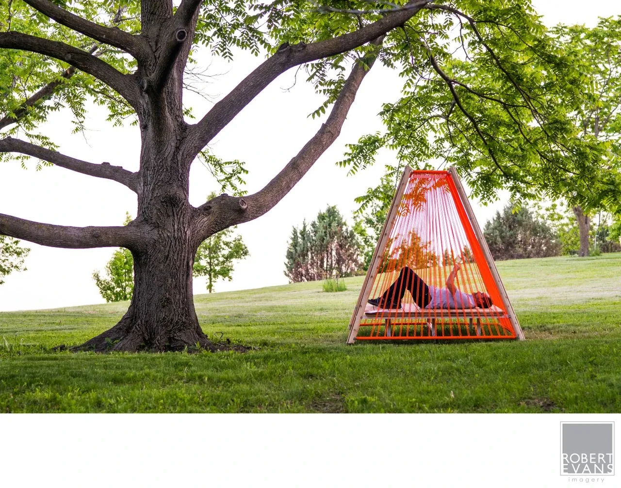 A colorful triangular hanging seat stands beneath a large leafy tree on a lawn.