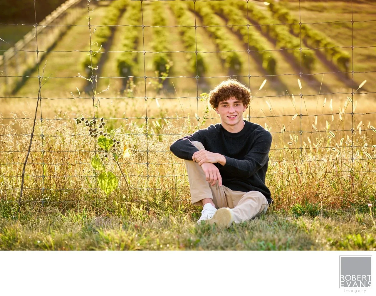 A curly-haired young man sits beside a fence with vineyard rows behind him.