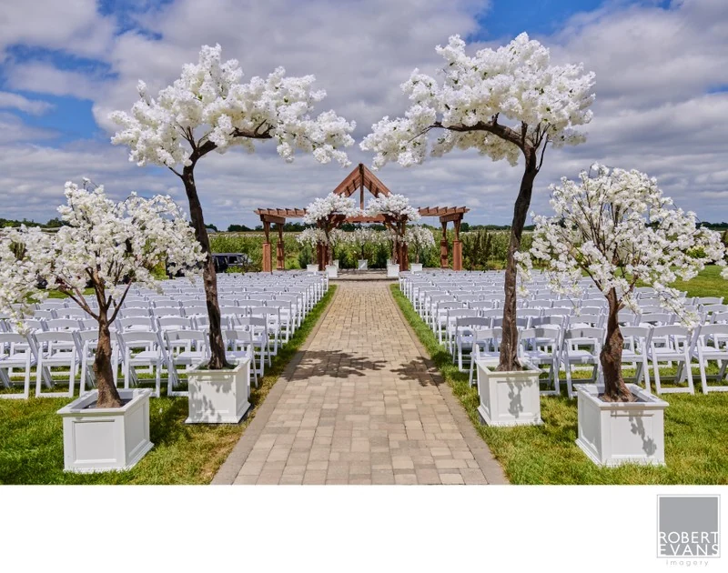 An outdoor ceremony aisle framed by white flowering trees and rows of white chairs.