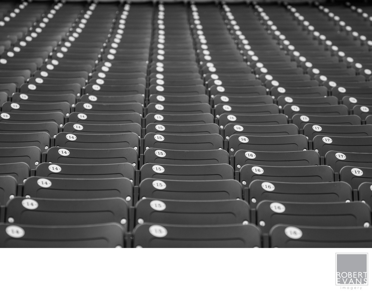 Repeating rows of numbered stadium seats form a graphic black-and-white pattern.