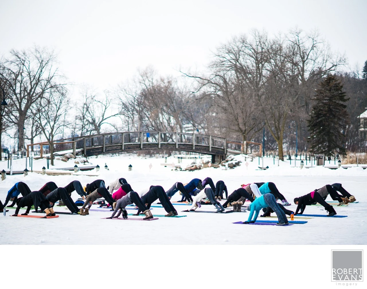 A group practices yoga on mats spread across a snowy lawn beside bare trees.