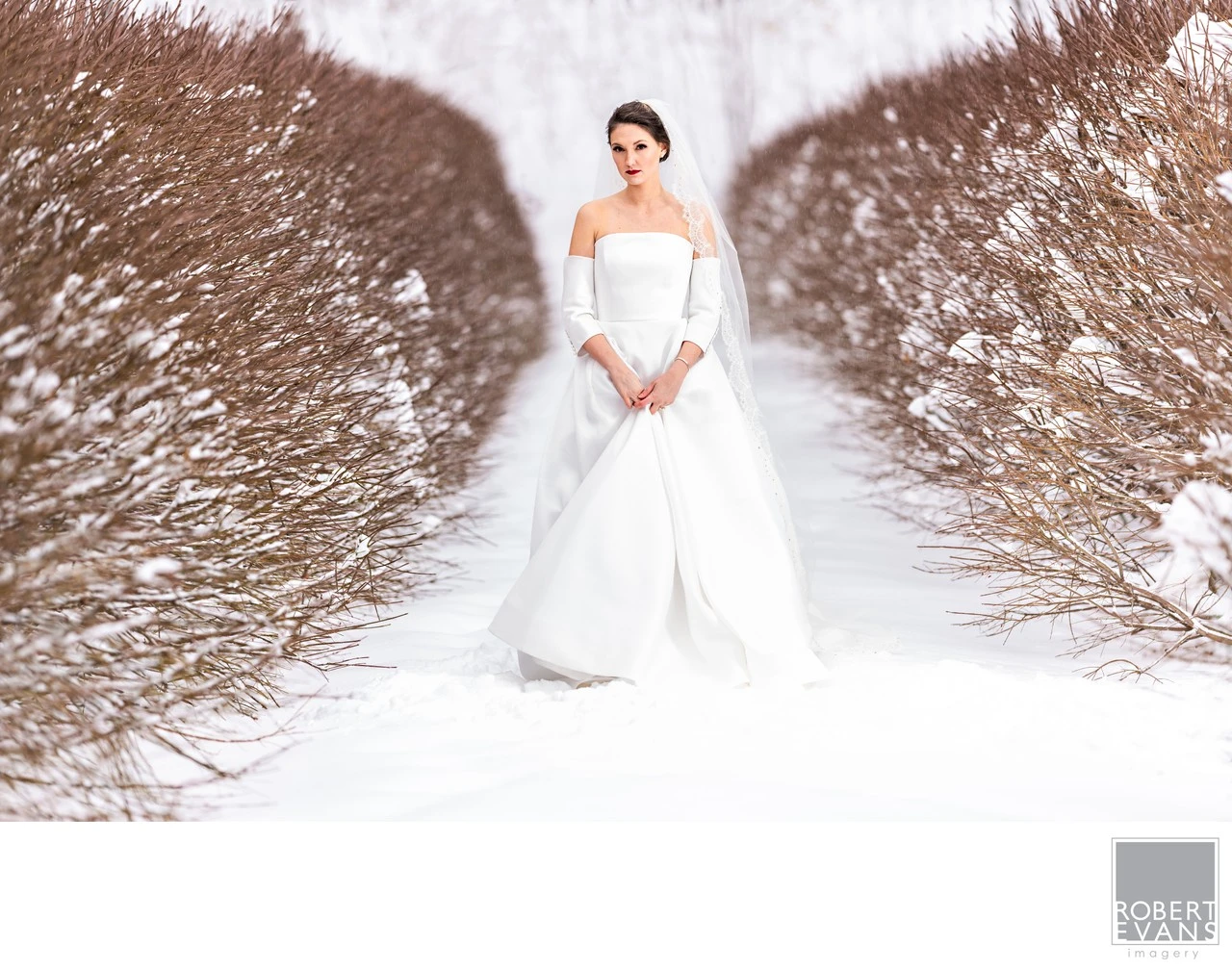 A bride stands in a long white gown on a snow-covered path between hedges.