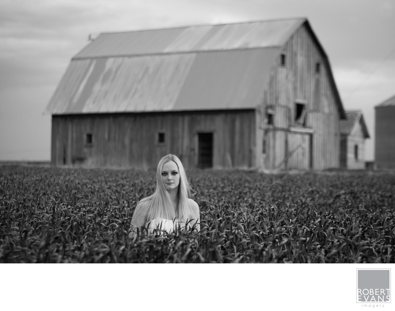 A woman appears above a field of low plants with a weathered barn behind her in black and white.