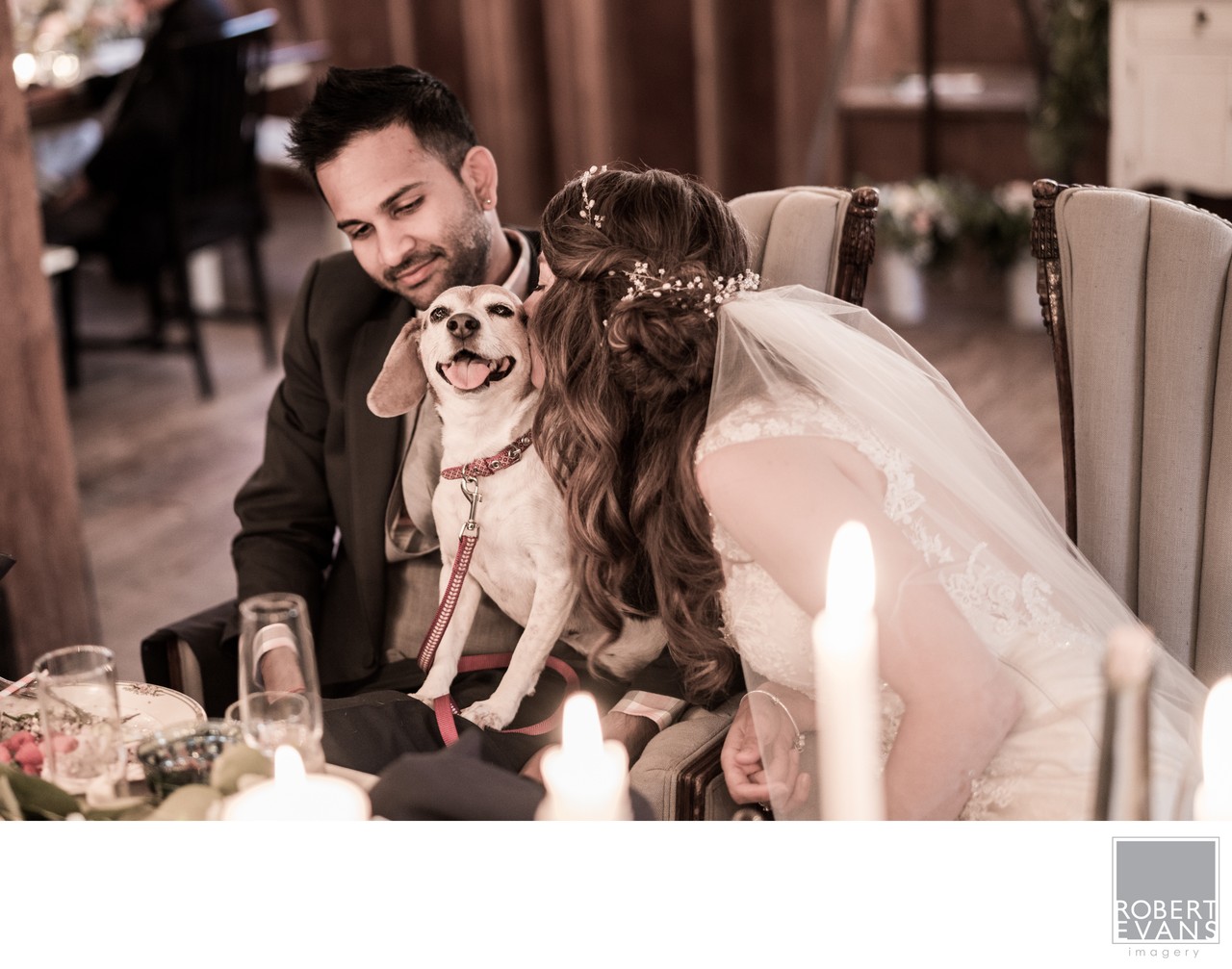 A bride kisses a small dog seated between her and the groom at their reception table.