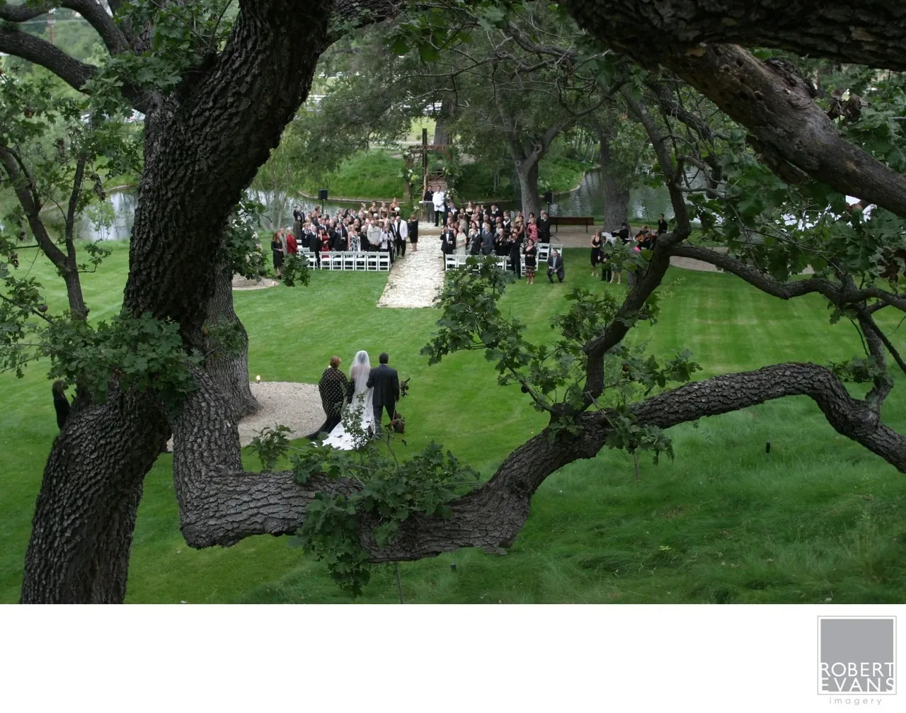 Wedding guests gather on a lawn seen through the spreading branches of a large oak tree.