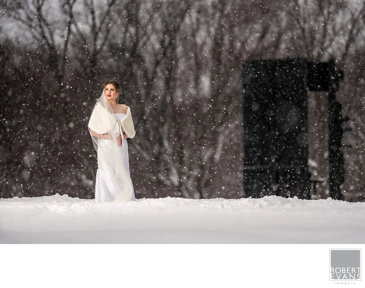 A bride stands in a white gown beneath falling snow against a dark woodland background.