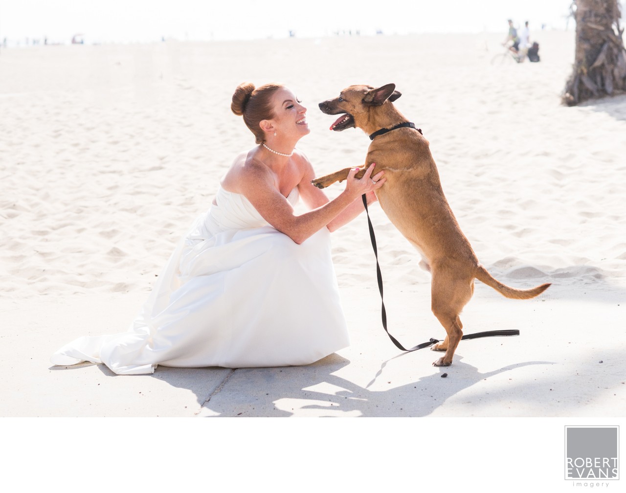 A bride kneels on sand as her dog stands upright to greet her.