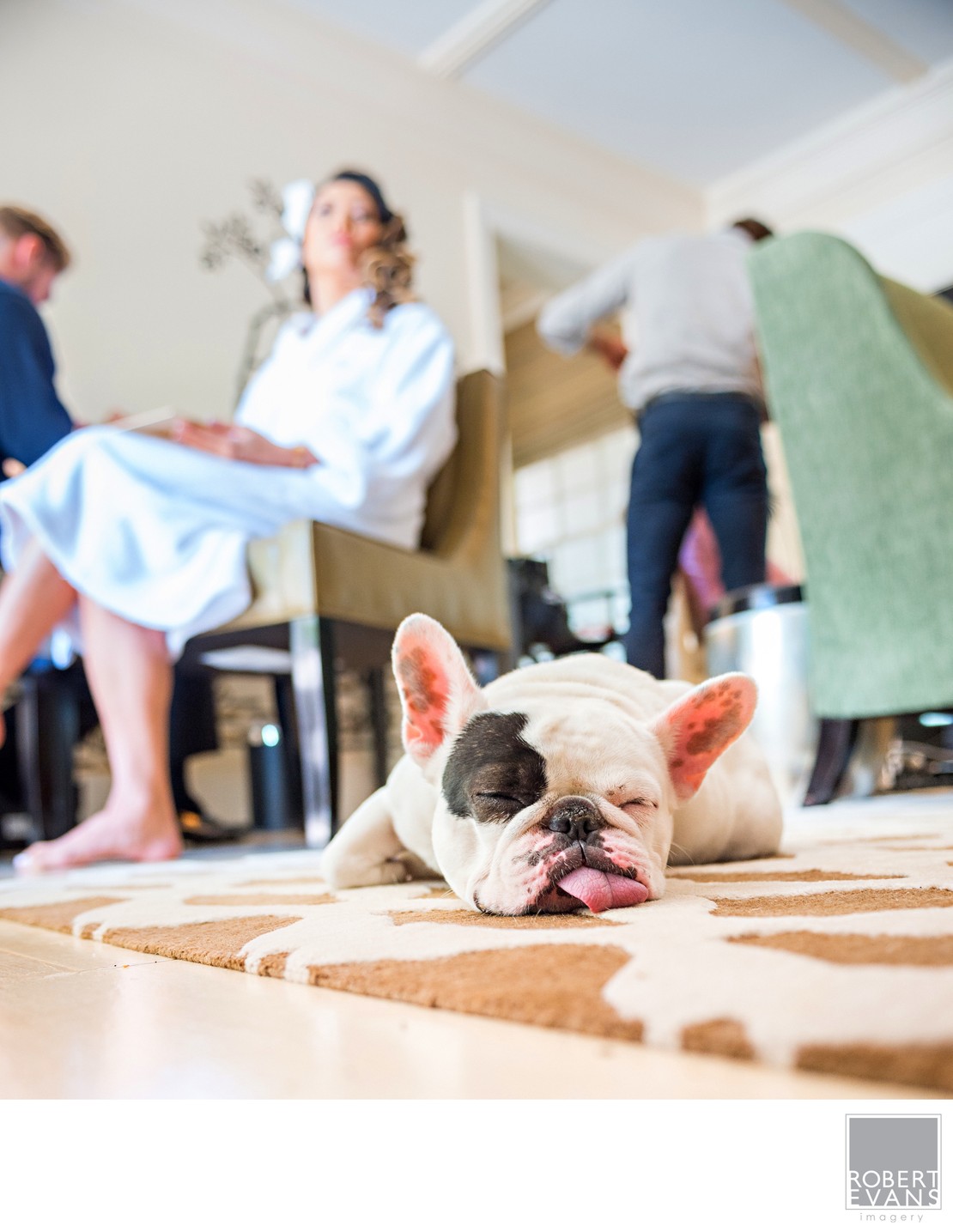 A small dog lies on the floor while wedding preparations continue in the background.