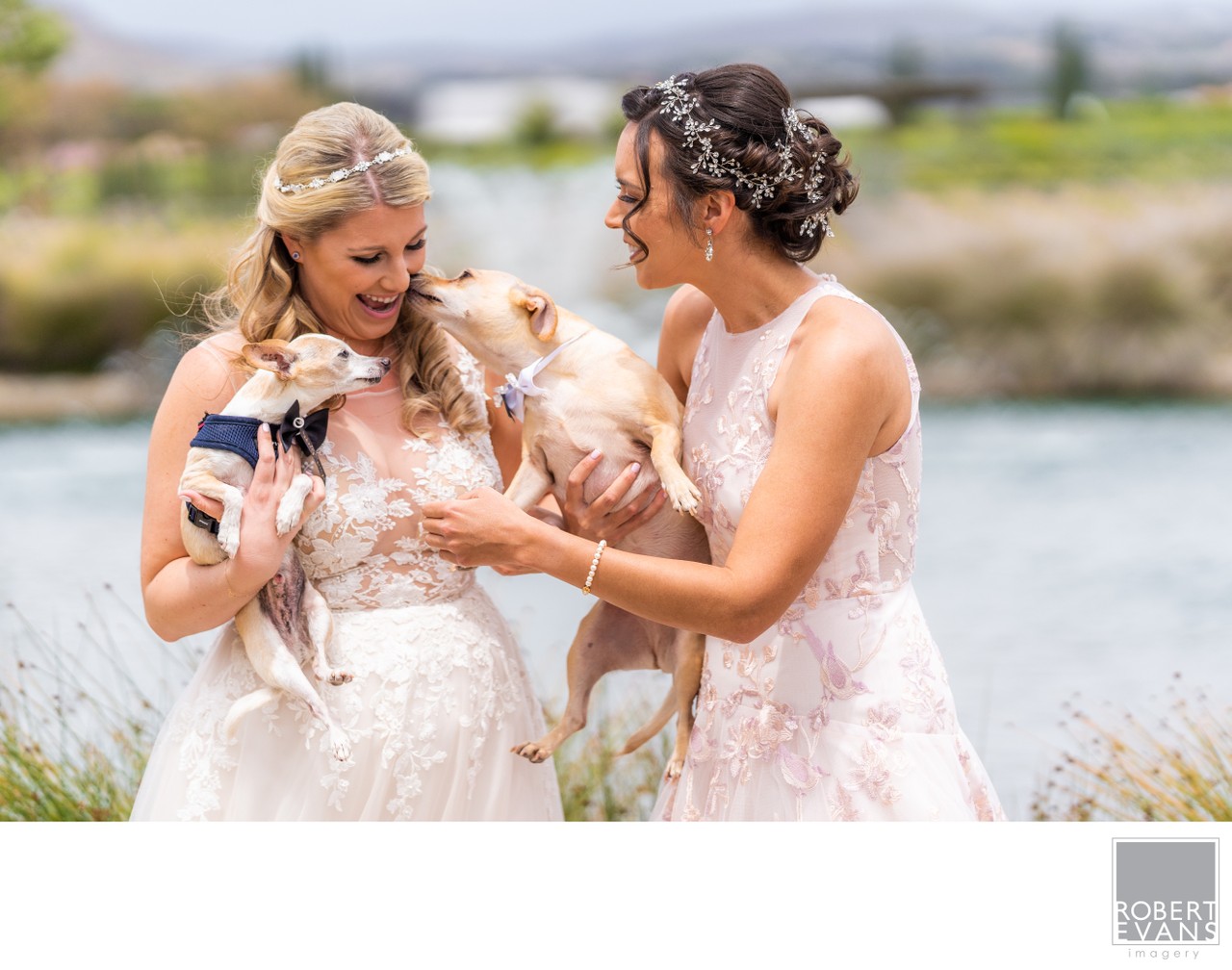Two women in wedding gowns smile at a small dog held between them beside the water.