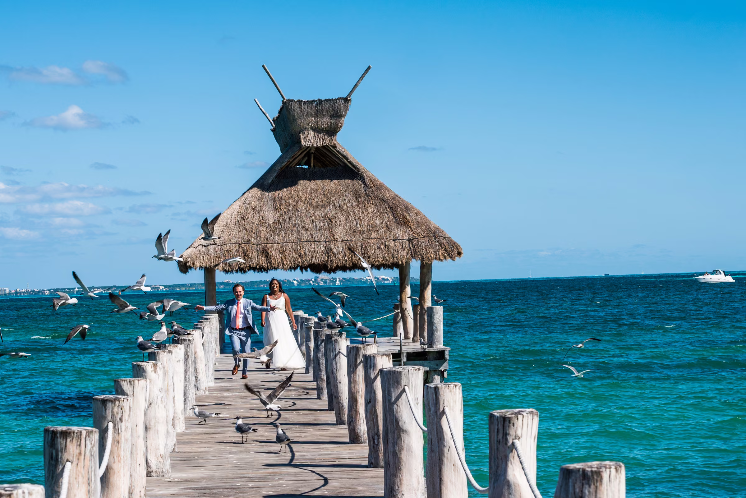 Tony chases birds into flight along a wooden pier beside Avanti