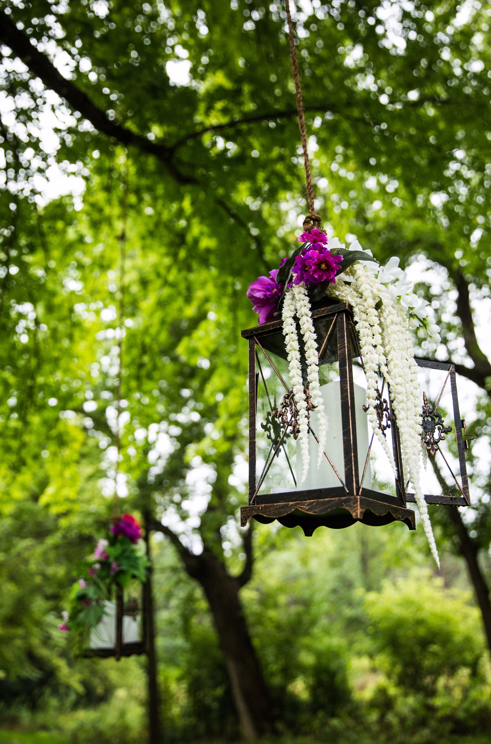 A candle lantern hangs from a leafy tree in the estate garden