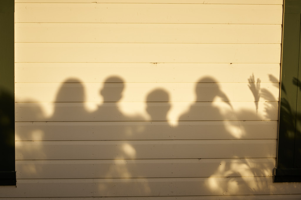 The family’s shadows, and the reeds.