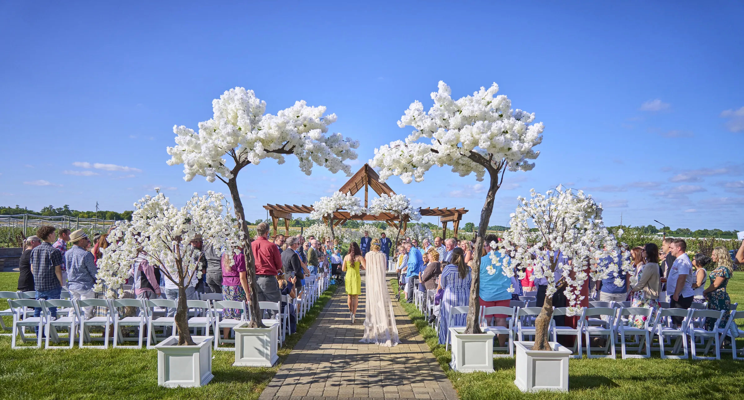 Guests stand beside an outdoor wedding aisle lined with white blossom trees and blue flowers at Ashery Lane Farm, Ashery Lane Farm, Mayer, Minnesota