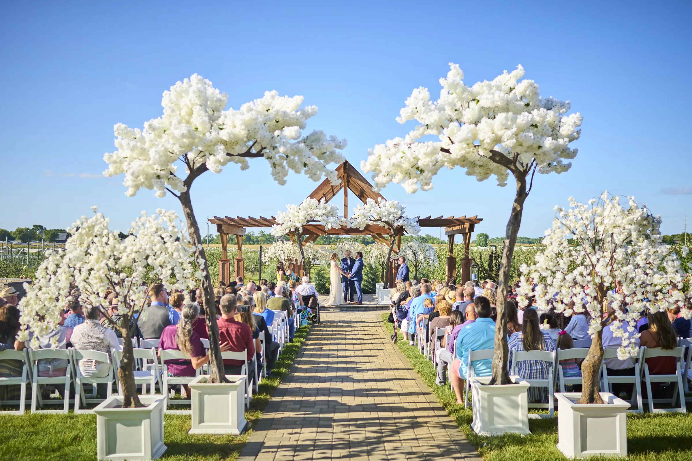 A wide view down the outdoor aisle toward Jeanne and Brian beneath the arbor with their guests seated on either side, Ashery Lane Farm, Mayer, Minnesota