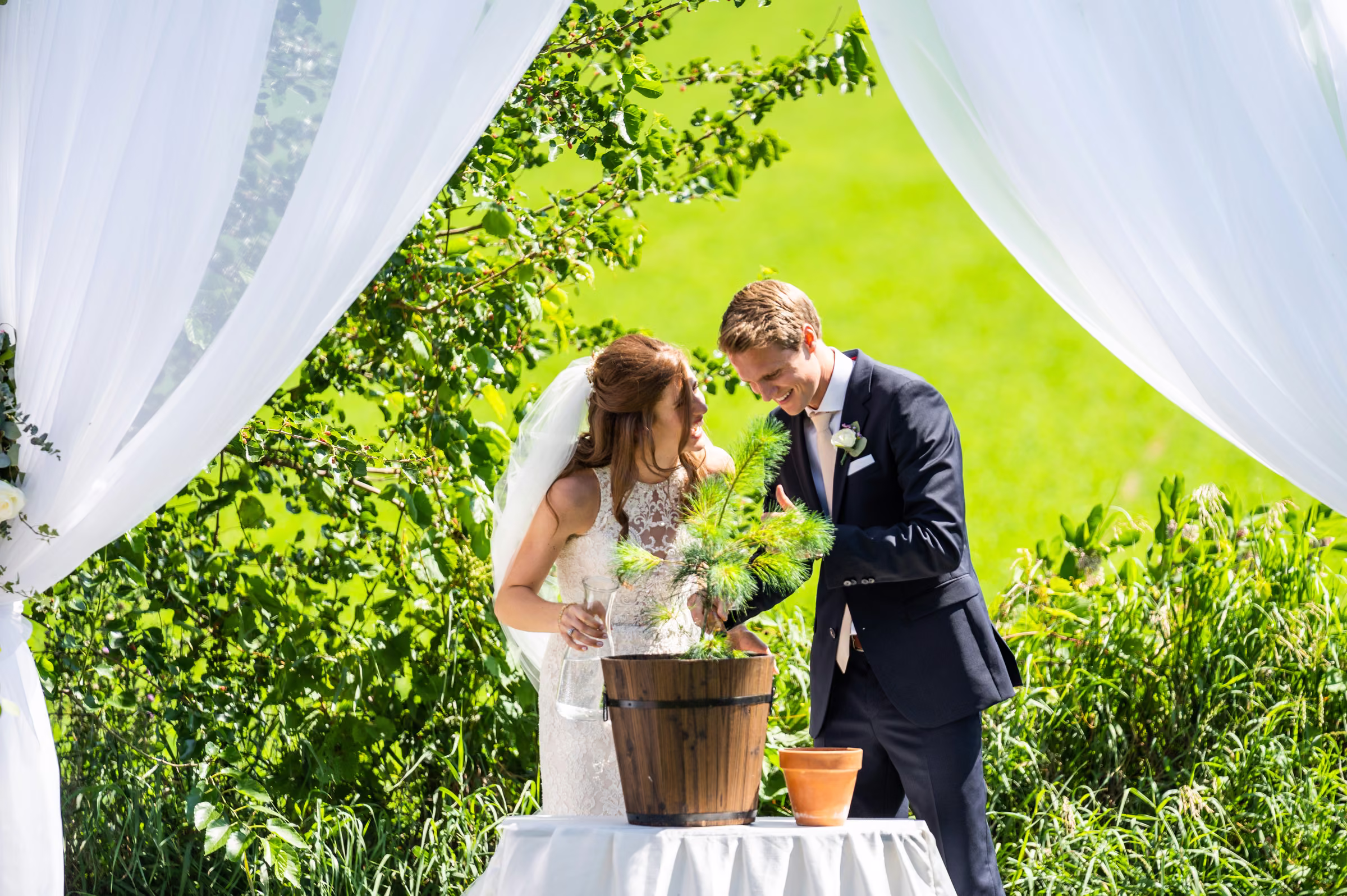 Katie and Tobias plant a tree together beneath white drapery during their wedding ceremony