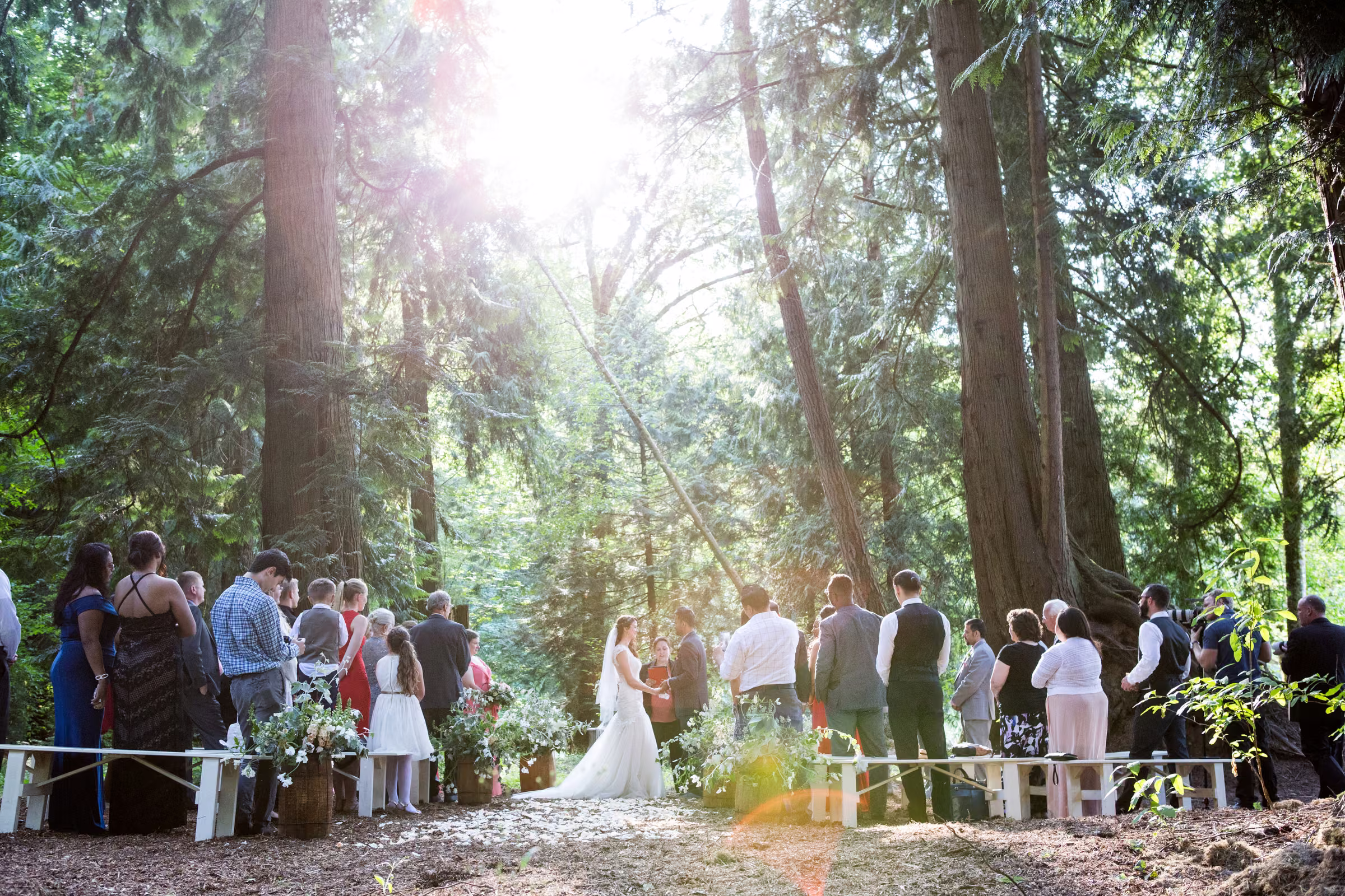 Sunlight streams through tall trees above Kohleen, Kash, and their seated wedding guests