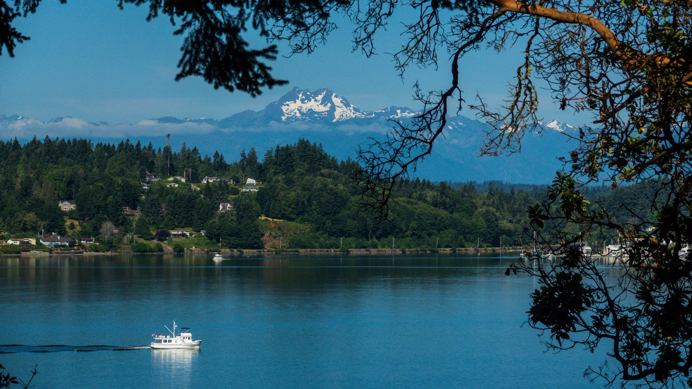 A broad view across tree-lined water toward a snow-covered mountain with a boat in the foreground