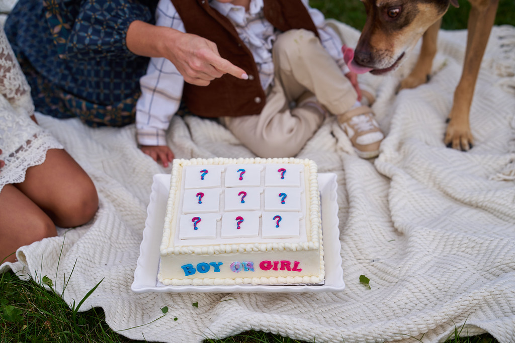 A tic-tac-toe gender reveal cake with covered pink and blue question-mark squares at Minnesota Landscape Arboretum, Chaska, Minnesota