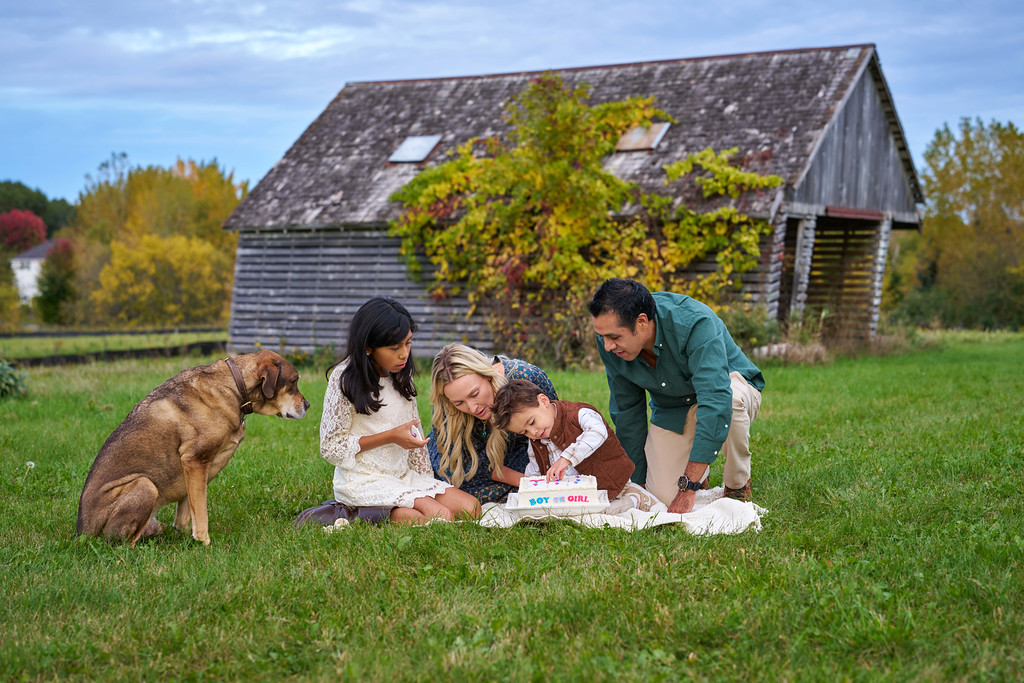 The Zaragoza family uncovering the squares on their gender reveal cake at Minnesota Landscape Arboretum, Chaska, Minnesota